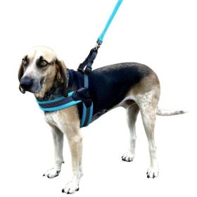 Sporn Easy Fit Dog Harness Blue - Small 1 count