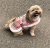 Sherpa-Lined Dog Harness Coat