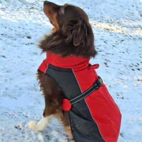 Alpine All-Weather Dog Coat - Red and Black (Option: X-Small)