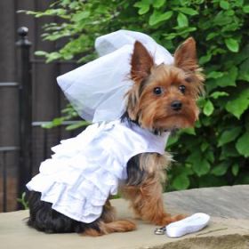 Dog Harness Wedding Dress with Veil and Matching Leash (Option: Large)