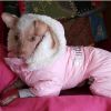 Pink Ruffin It Dog Snow Suit Harness