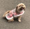 Sherpa-Lined Dog Harness Coat - Pink & White Plaid