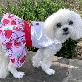 Strawberry Picnic  Harness Dress with Matching Leash (Option: Xlarge)