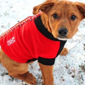 Highline Fleece Coat-Red and Black With Rolling Bones*LC=Large Chest (Option: Size 10)