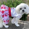 Strawberry Picnic  Harness Dress with Matching Leash