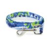 Surfboard Blue and Green Cool Mesh Dog Harness with Matching Leash