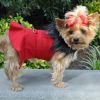 Red Wool Classic Dog Coat Harness and Fur Collar with Matching Leash