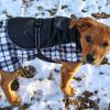 Alpine All-Weather Dog Coat -Black and White Plaid