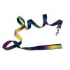 American River Ombre Leash - Cosmic Splash