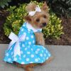 Blue Polka Dot Dress