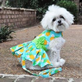 Pineapple Luau Dog Harness Dress with Matching Leash (Option: Xlarge)