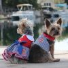 Sailor Girl with Matching Leash Dress