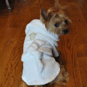 Luxury Dog Bath Robe - Gold Crown (Option: Medium)