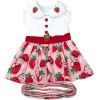 Strawberry Picnic  Harness Dress with Matching Leash